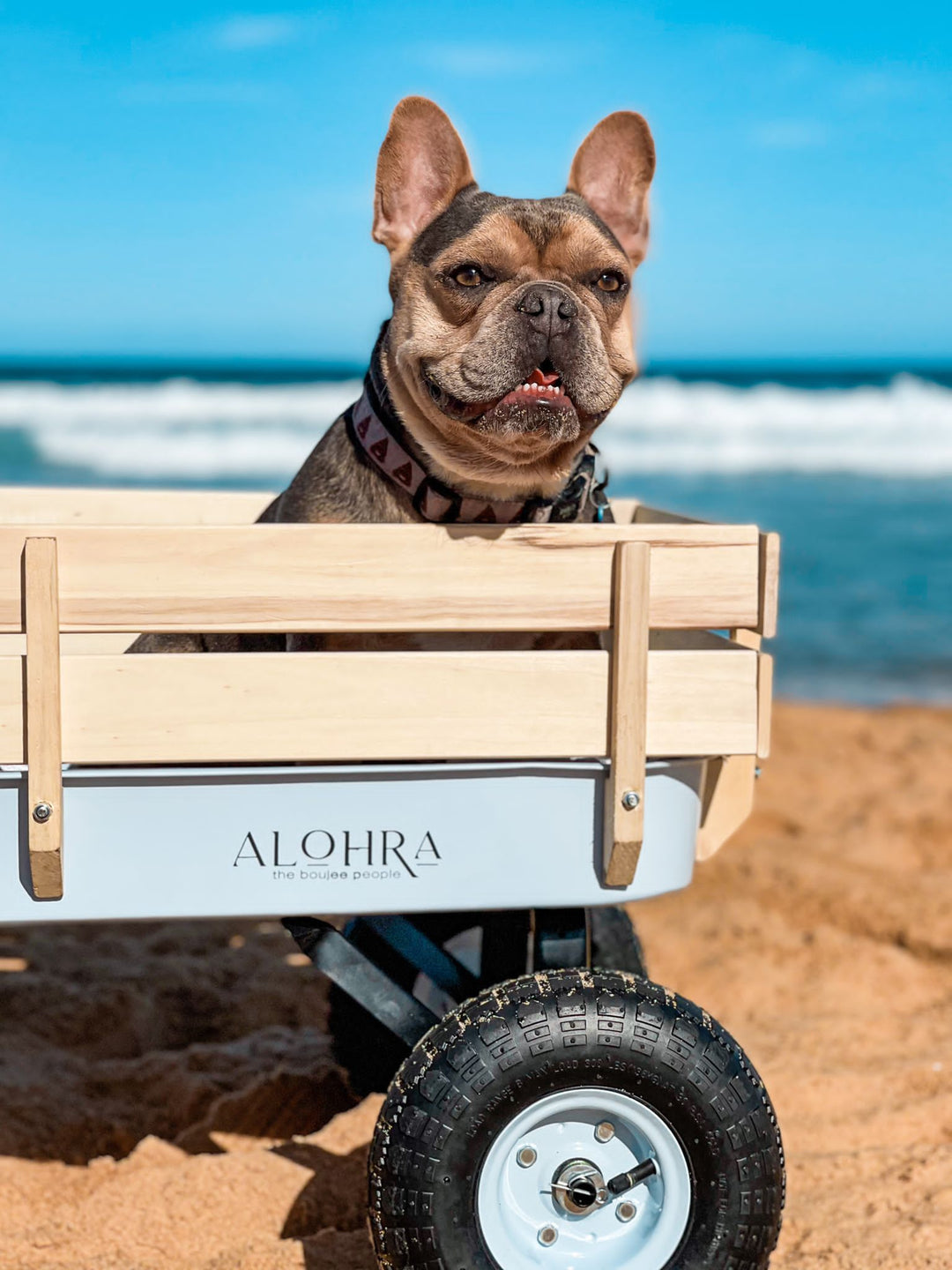 CHARIOT DE PLAGE